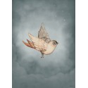 Mrs. Mighetto DEAR SPARROW, 50x70cm