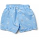 Duke board shorts- seaside sky-blue