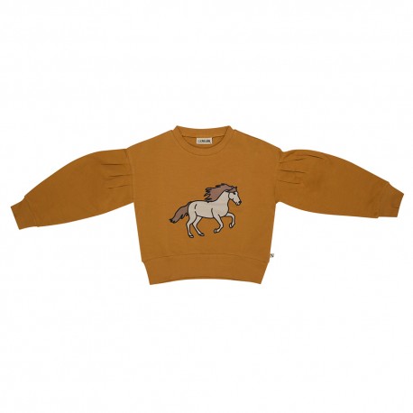 Wild Horse - girls sweater