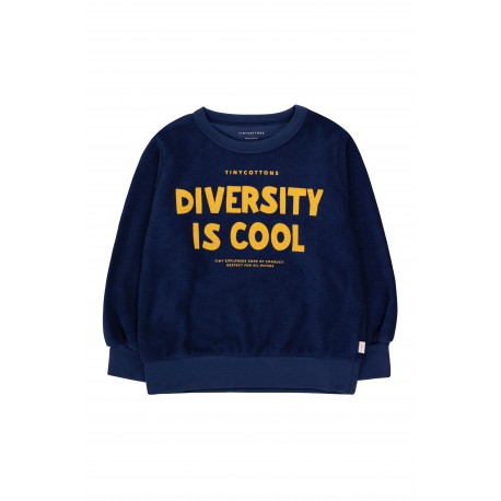 DIVERSITY IS COOL SWEATSHIRT