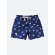 Sharks Swim Shorts