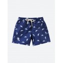 Sharks Swim Shorts