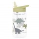 Water bottle - dinosaurs
