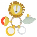 Activity ring - Mr. Lion