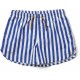 Aiden board shorts- stripe surf blue