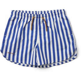 Aiden board shorts- stripe surf blue