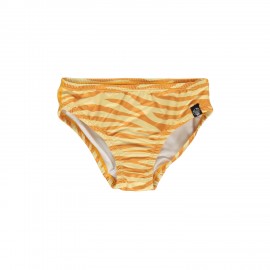 Golden Tiger bikini pants
