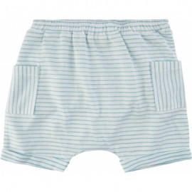 SGflair shorts - stripes