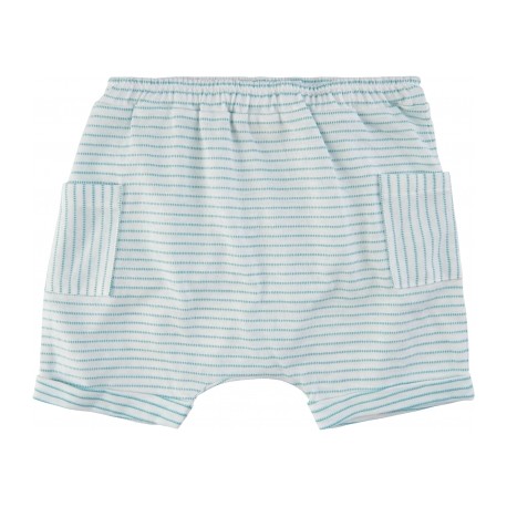 SGflair shorts - stripes