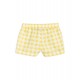 Gingham Check Woven Shorts