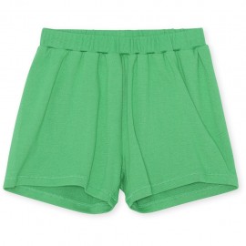 Niroli shorts - green
