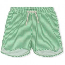 Seer Asnou swimshorts - green
