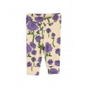 Roses Newborn Leggings - purple