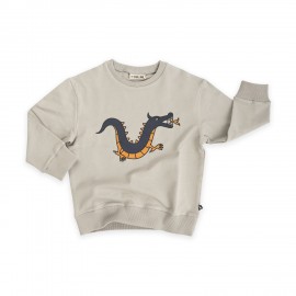 Dragon- sweater with print