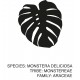 Poster "Monstera"