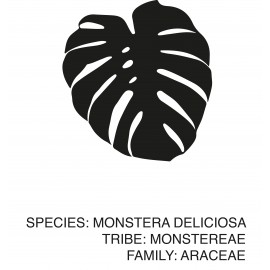 Poster "Monstera"