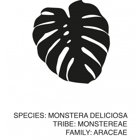 Poster "Monstera"