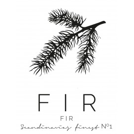 Poster "fir"