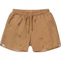 Asnou swimshorts -lemon brown