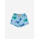 Multicolor Fish all over swim shorts