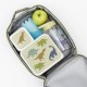 Cool Bag - Insulated Dinosaurs