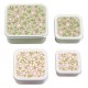Lunch and Snack Box Set of 5 - blossoms