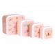 Lunch and Snack Box Set of 4 - butterflies