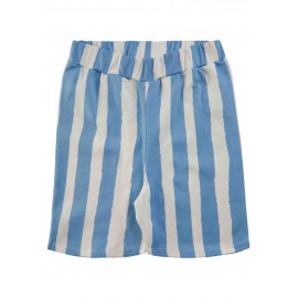 Jordan Stripes shorts