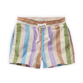 Swimshorts block stripes