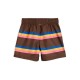 Stripe Swim Shorts