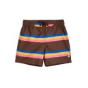 Stripe Swim Shorts