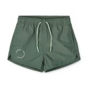 Aiden board shorts- garden green