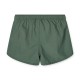 Aiden board shorts- garden green