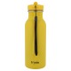 Water bottle 500ml - Mr. Lion