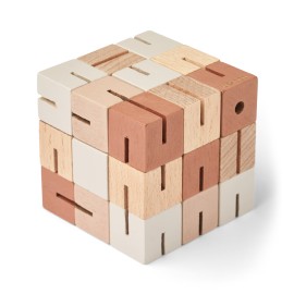 Gavin puzzle cube