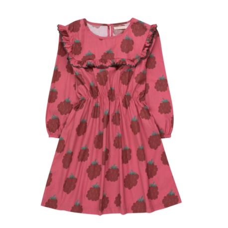 RASPBERRIES SAILOR FRILL dress