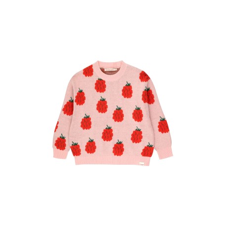 RASPBERRIES sweater