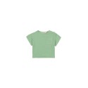 Coachella baby tee - matcha green