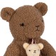 Activity music teddy