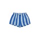 Stripes trunks - grey/ultramarine