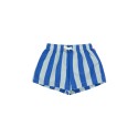 Stripes trunks - grey/ultramarine