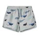 Aiden board shorts- whales