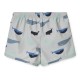 Aiden board shorts- whales