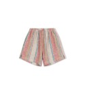Venice shorts