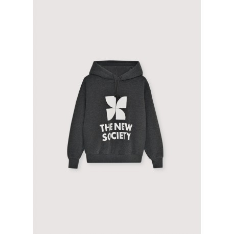 TNS Logo Hood Sweatshirt Galactic Grey Melange