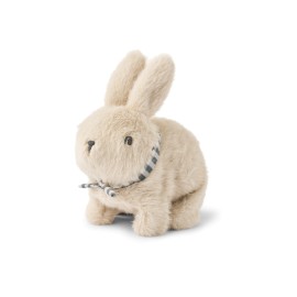 Dev rabbit motoric teddy