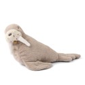 Berto walrus teddy