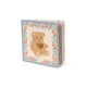 Touch and feel book - Bear