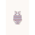 Stripes multicolor body