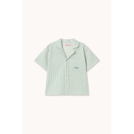 Emerald stripes shirt